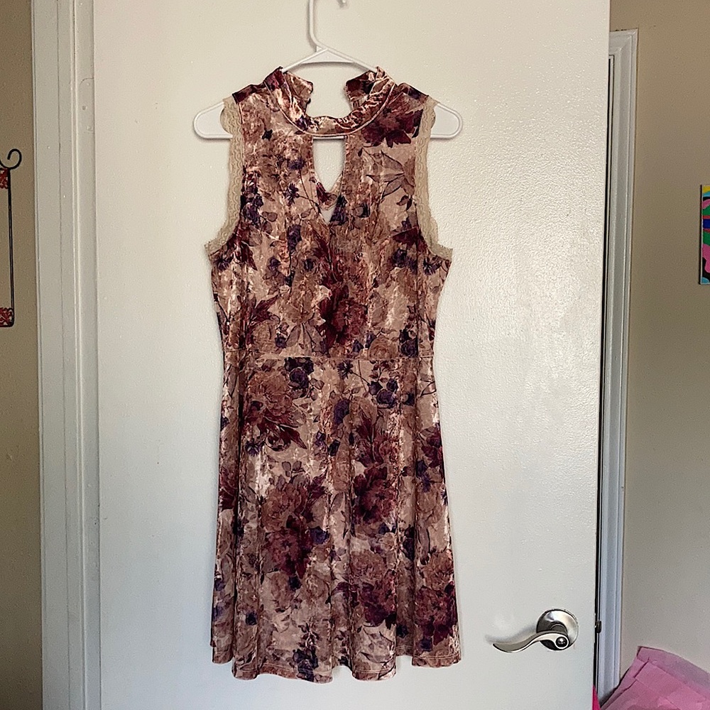 Woman’s large dusty rose  velvet dress